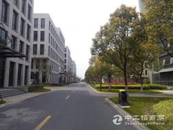 松江大業領地高品質辦公樓 獨棟帶地下室 多套可選 彰顯企業身 上海廠房出售