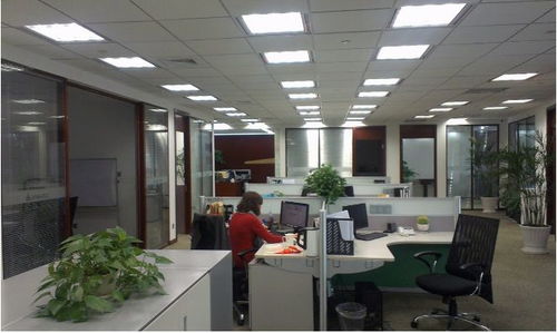 震旦國(guó)際大廈 陸家嘴核心地標(biāo)，開啟卓越辦公新篇章